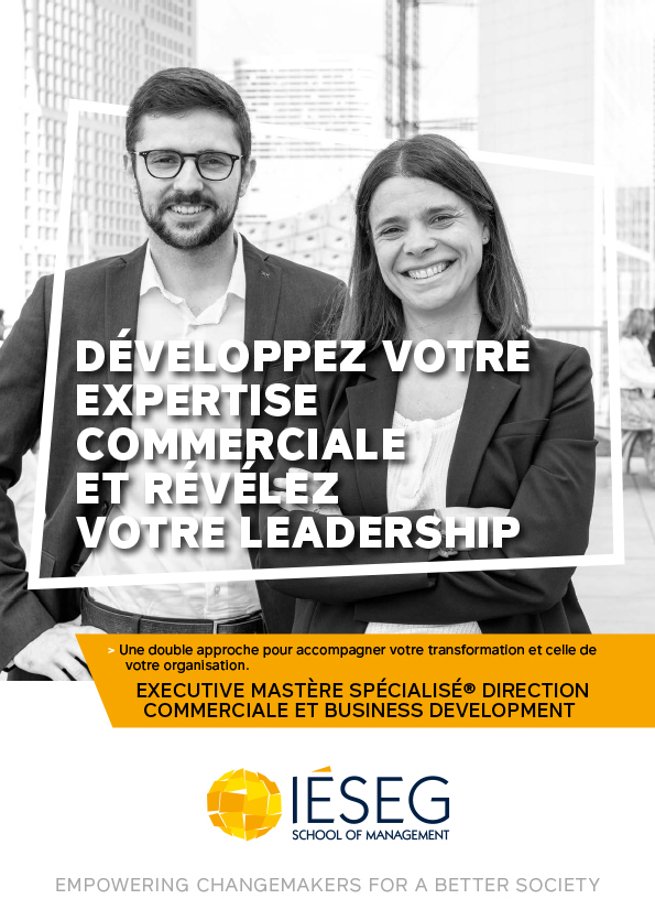 Brochure Mastère Spécialisé Direction Commerciale et Business Development